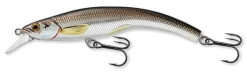 Live Target Rainbow Smelt Banana Bait 4 1/2" Shallow Dive