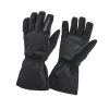 Striker Ice - Trekker Gloves - Black